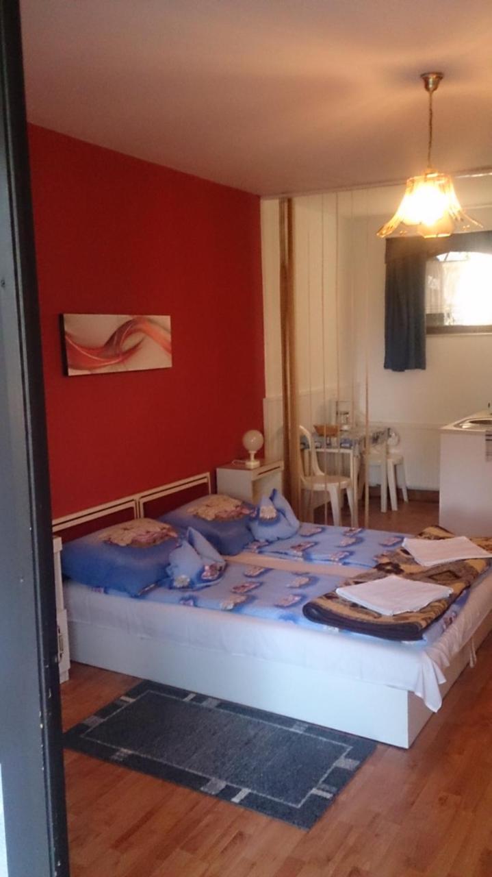 Steinhaus Bed & Breakfast ケストヘイ エクステリア 写真